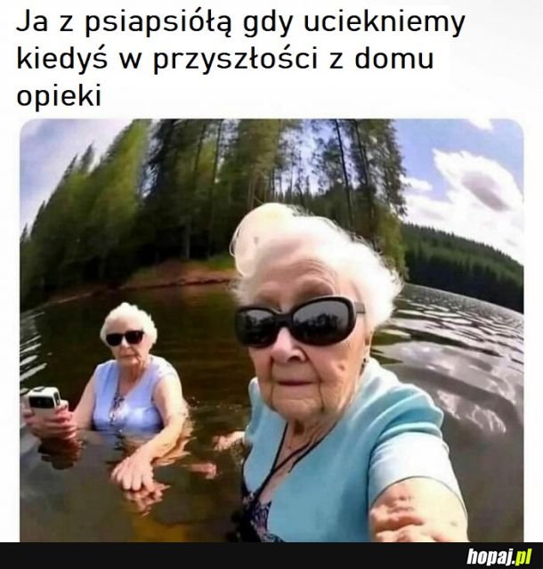Selfik