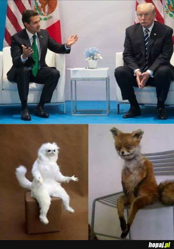TAK TO WŁAŚNIE WIDZĘ