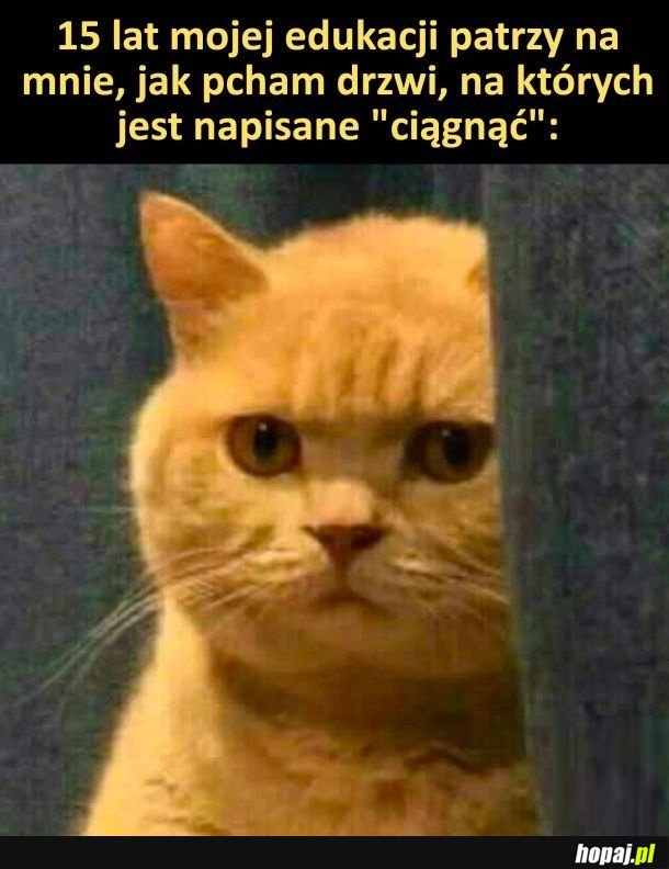 Nieżle