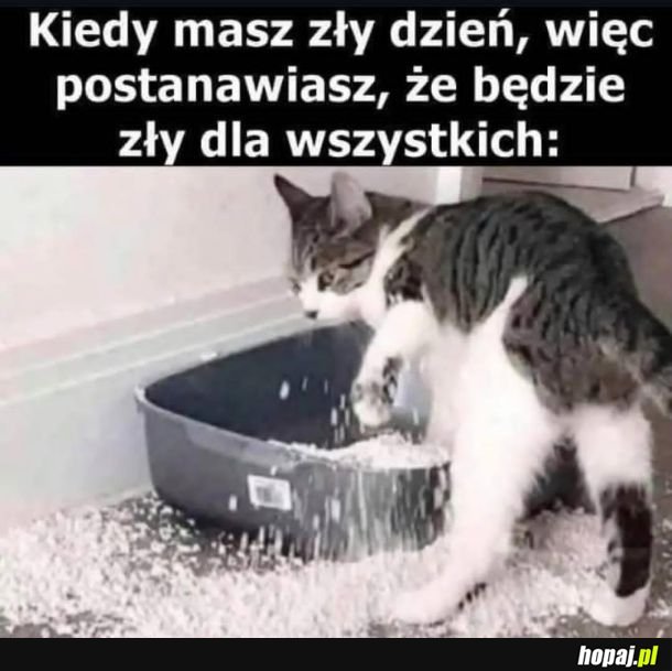 Jak wszyscy to wszyscy