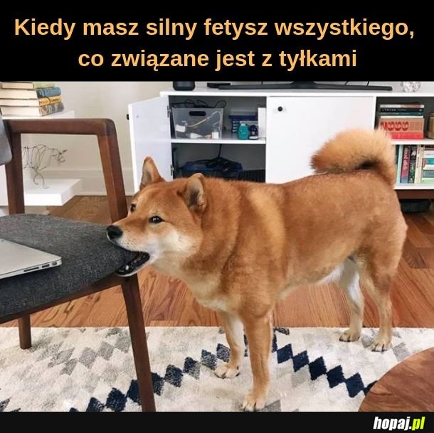 Tyłki, pyszne tyłki 