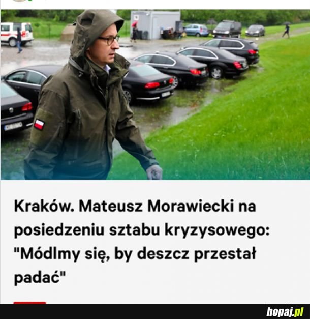 Jesteśmy uratowani! Że też nikt na to wcześniej nie wpadł!