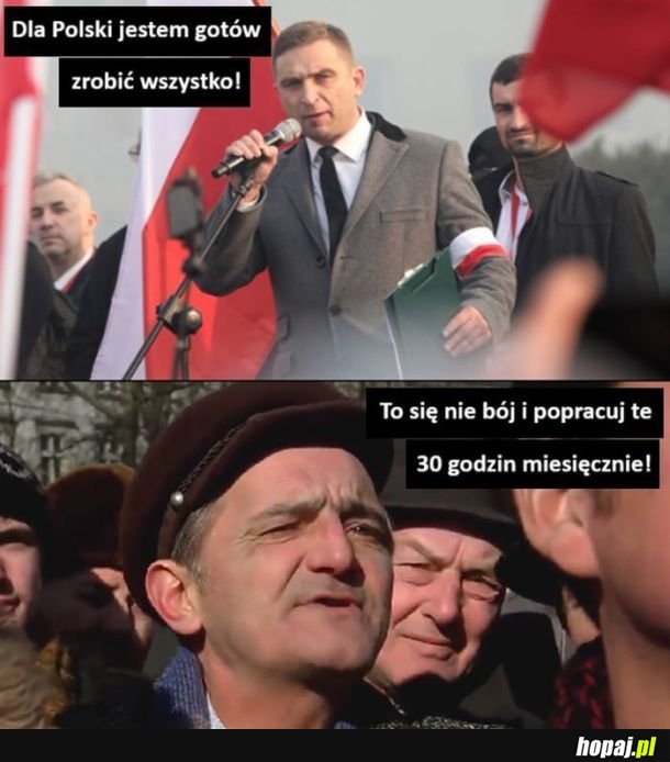 śmierdzący tchórz