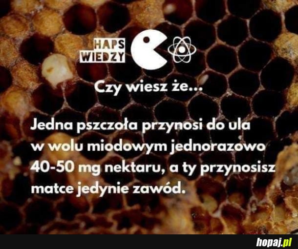  Czy wiesz, że ...