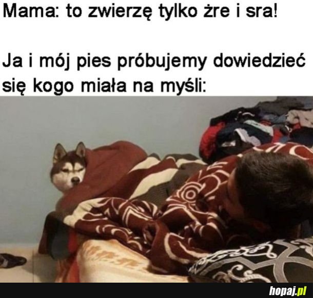 No ciekawe