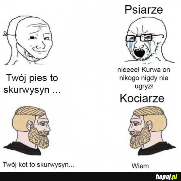 Psiarze vs kociarze