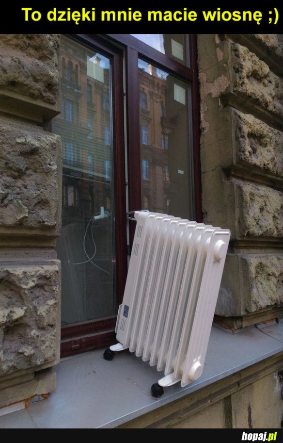 Dziękować!