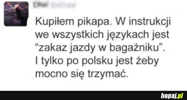 Polska instrukcja
