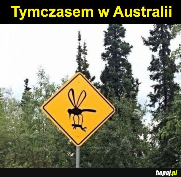 Typowa Australia