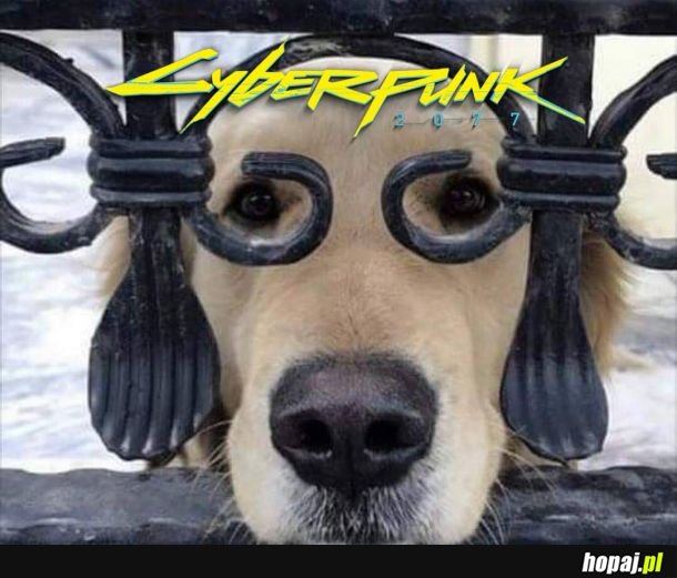 Cyberdoge 2077