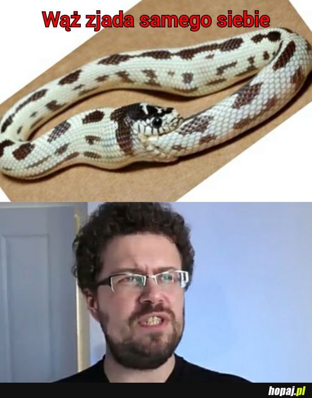 To jest bardzo dużo węża w wężu...