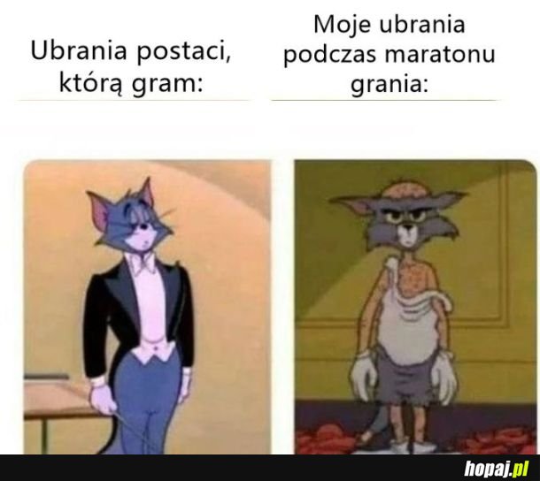 Gracz