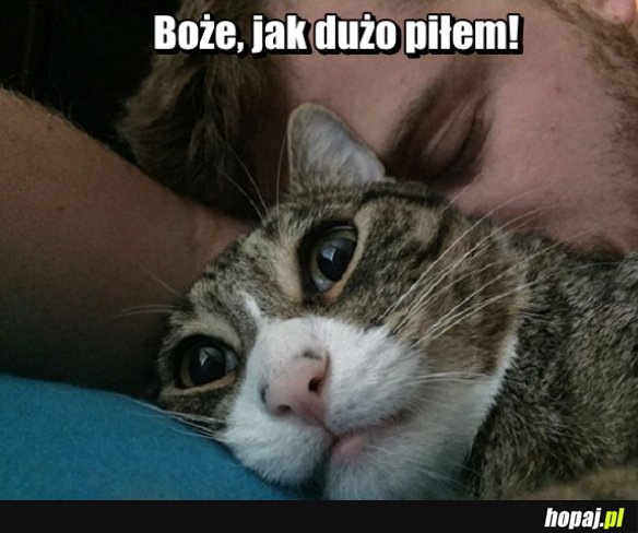 Melanż