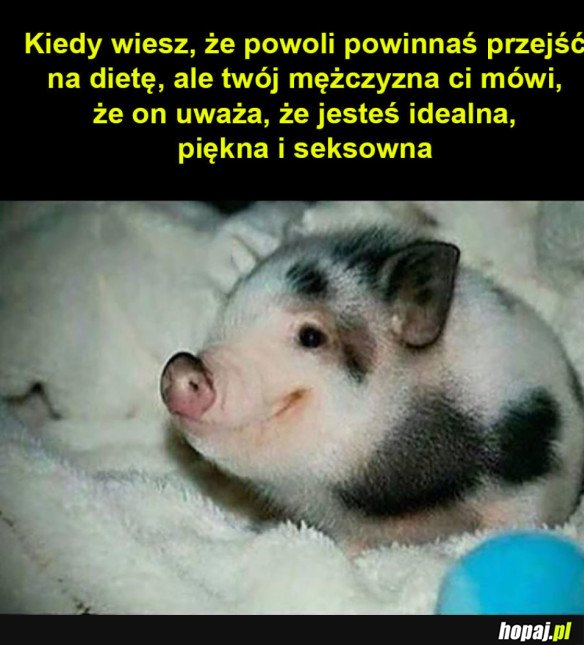 IDEALNA I PIĘKNA