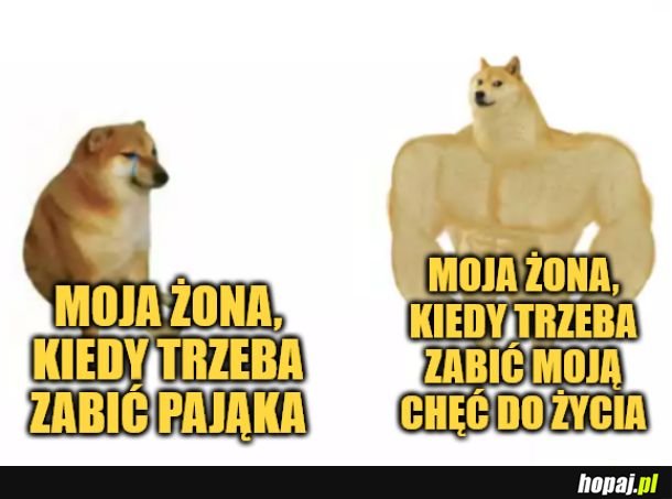 Żona. 