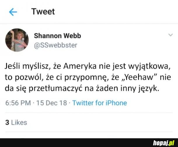 Ameryka jest wyjątkowym miejscem