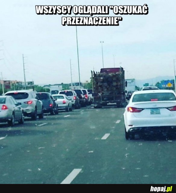 Wszyscy oglądali!