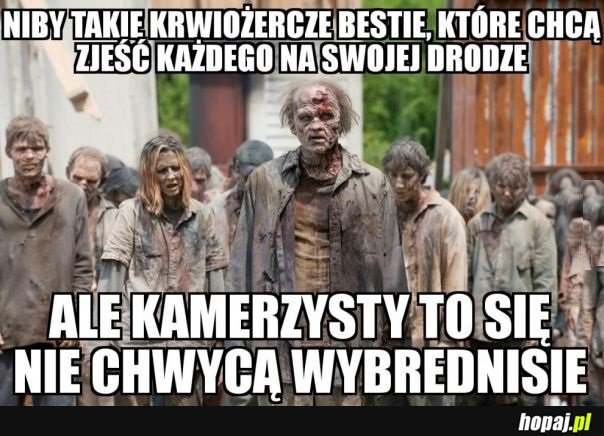 KTO WYBRZYDZA TEN NIE...