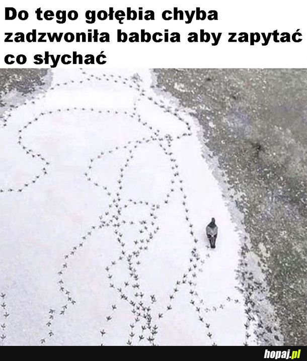 Rozmowy z babcią takie są