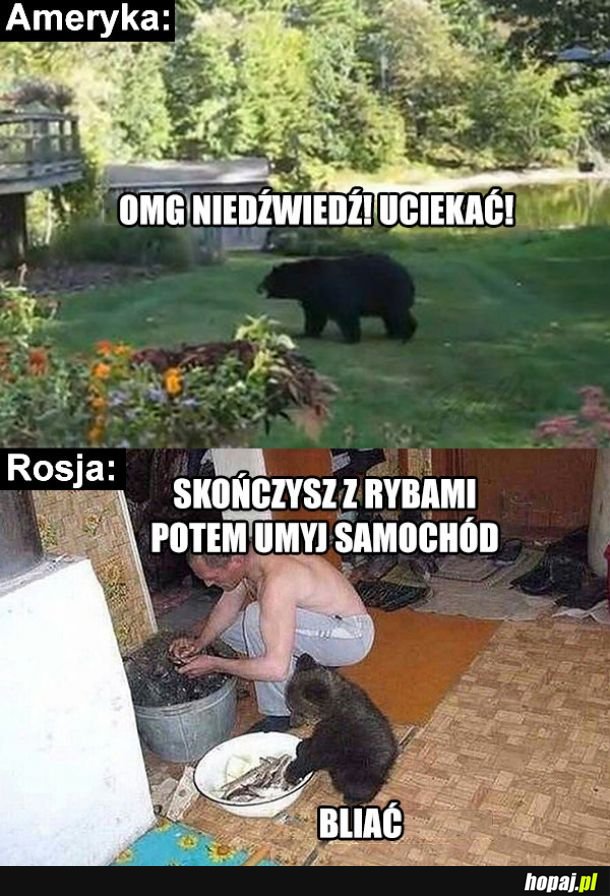 Ameryka vs Rosja