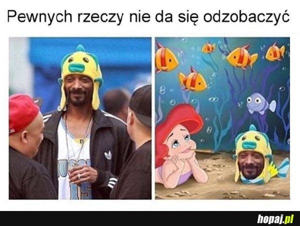 JAK NIE KOCHAĆ SNOOPA