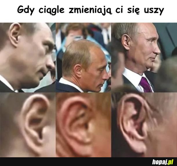 50 uszy Putina
