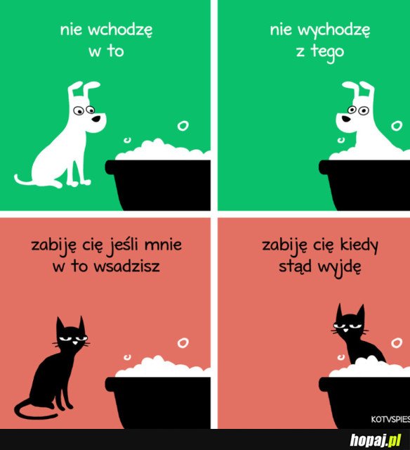 NIE WCHODZĘ W TO