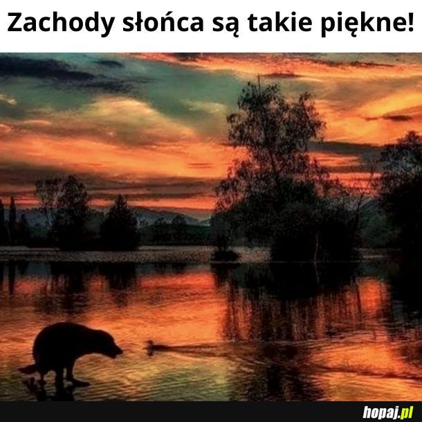 Piękne!