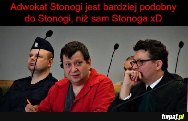  Stonoga i jego adwokat