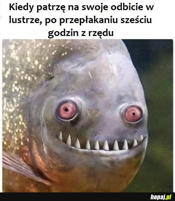 Ślicznie 