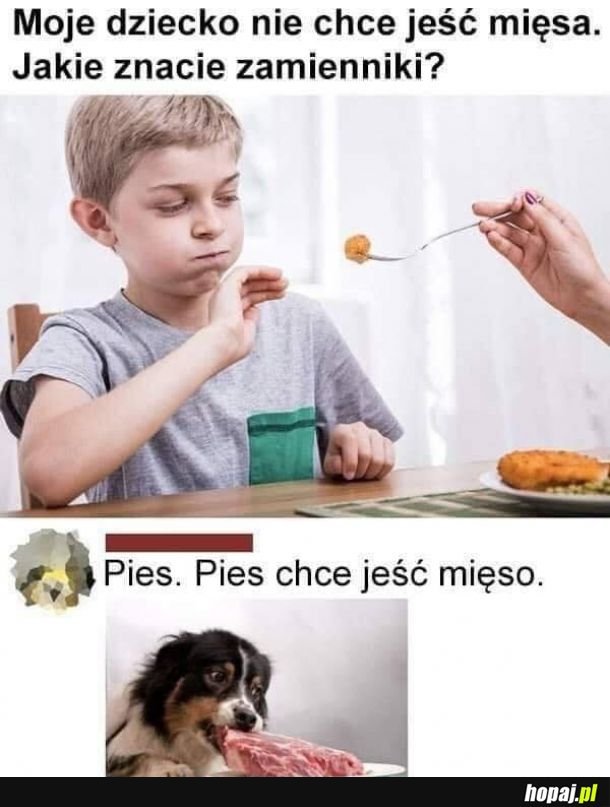 Mięso