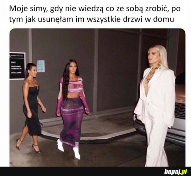 Zagubione Simy