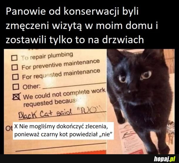 Też bym się posłuchała