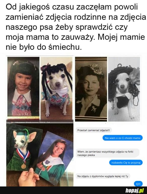 Najlepszy żarcik ever