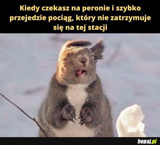 Pociąg