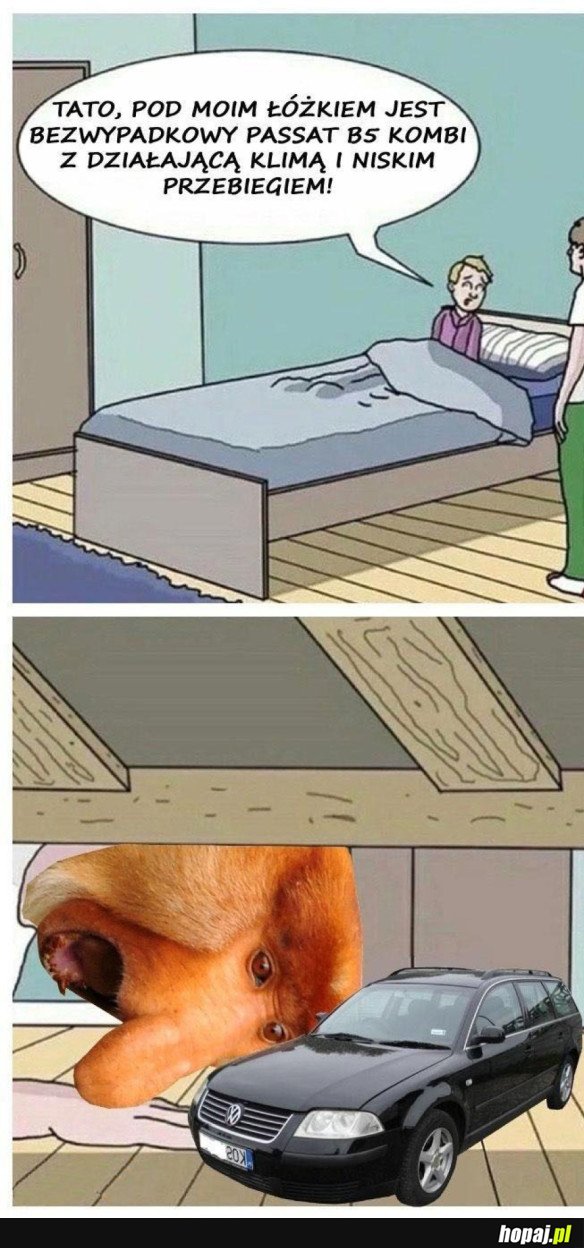 BIERĘ
