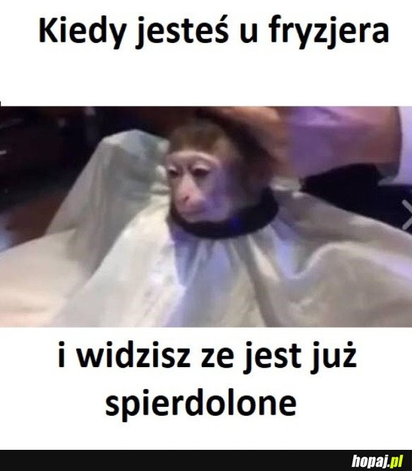 KIEDY JESTEŚ U FRYZJERA I WIDZISZ