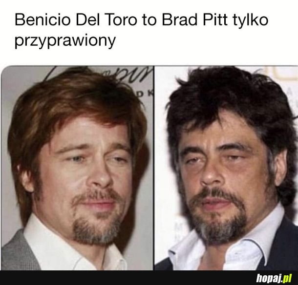Benicio Del Toro