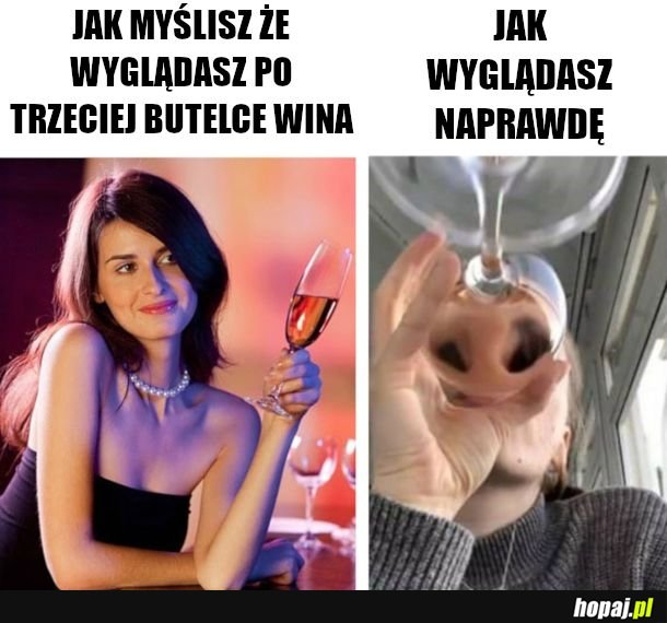 Gdy pijesz jak świnia