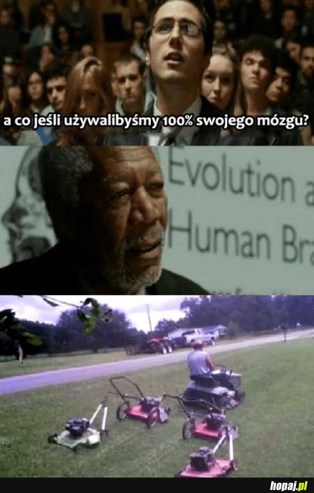 100% mózgu