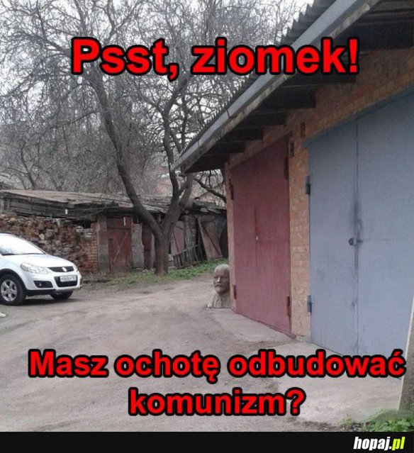 PSST ZIOMEK