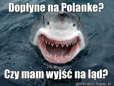 Dopłyne na Polanke?