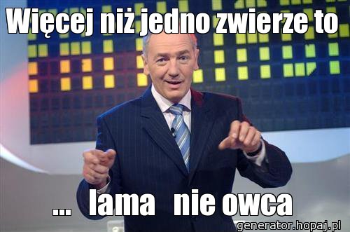 Więcej niż jedno zwierze to