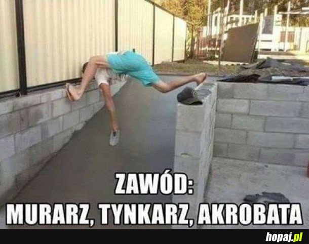 Zawód