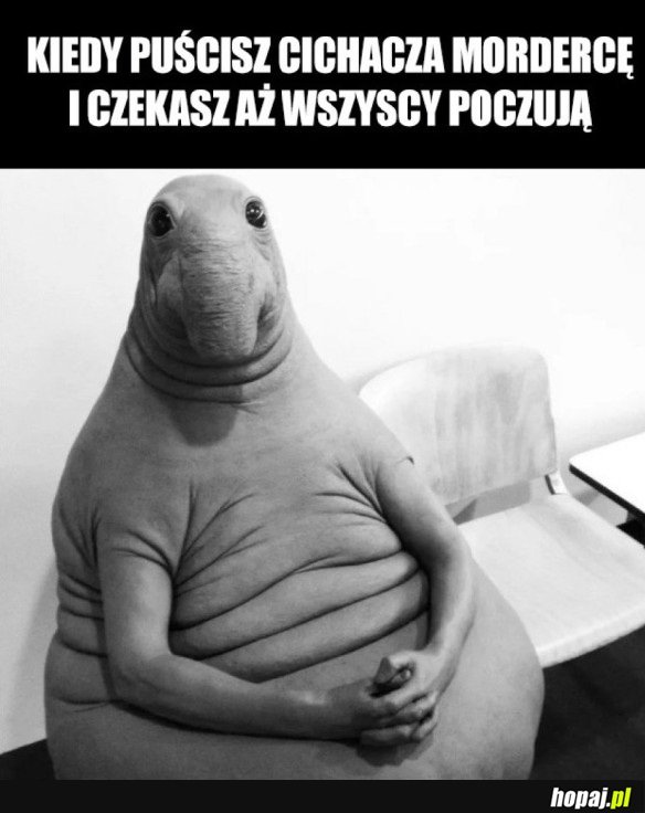 KIEDY PUŚCISZ CICHACZA