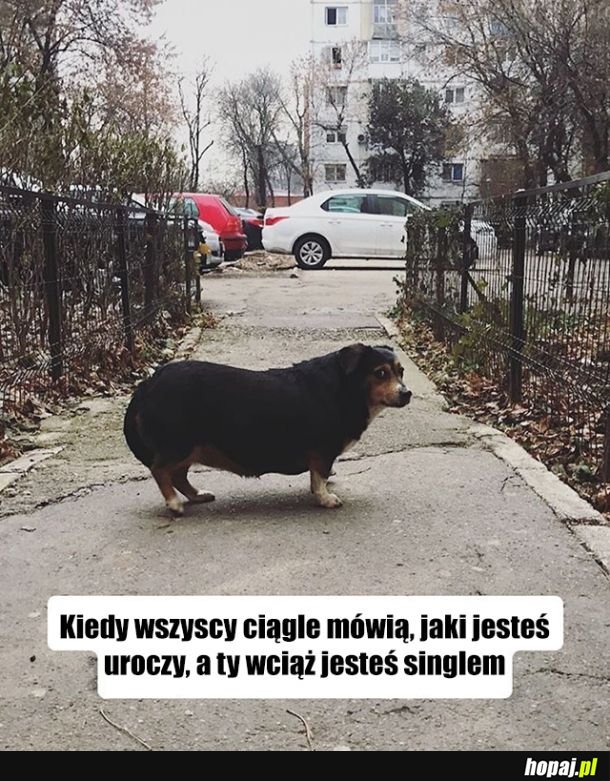 Jesteś taki słodki!