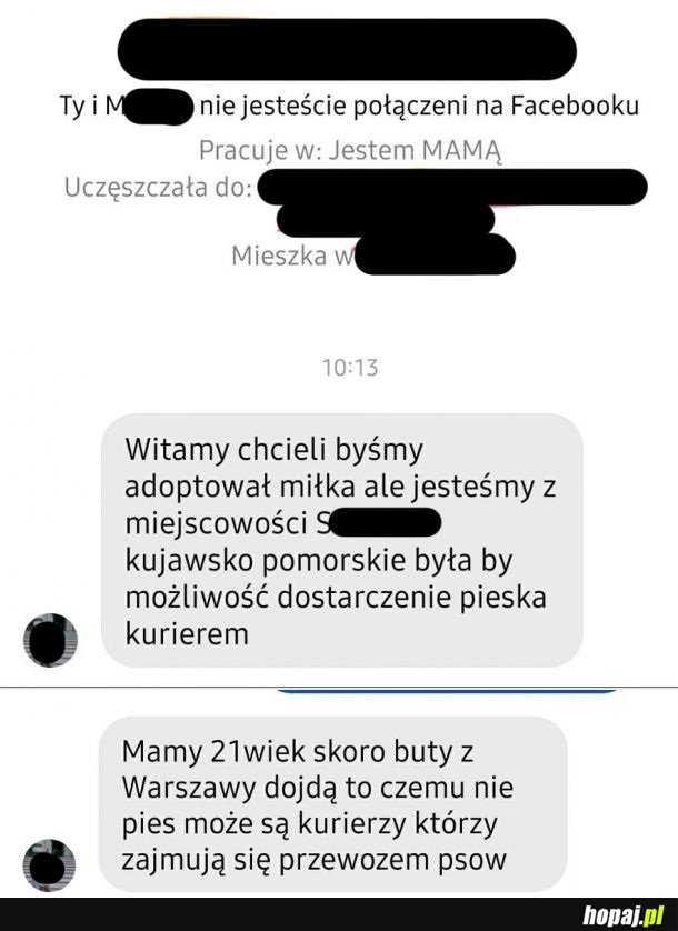 Buty, pies, dla karyny żadna różnica