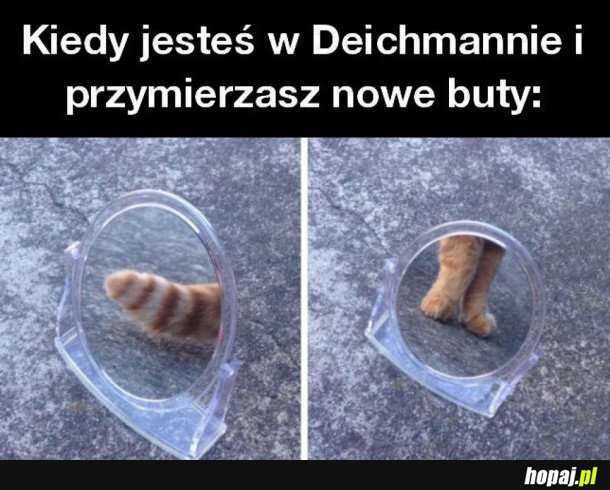 KIEDY JESTEŚ W DEICHMANIE