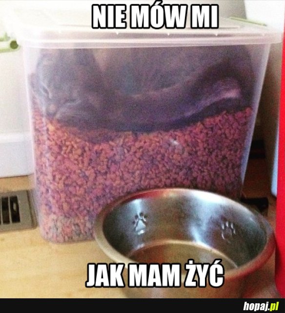 Nie mów mi jak mam żyć