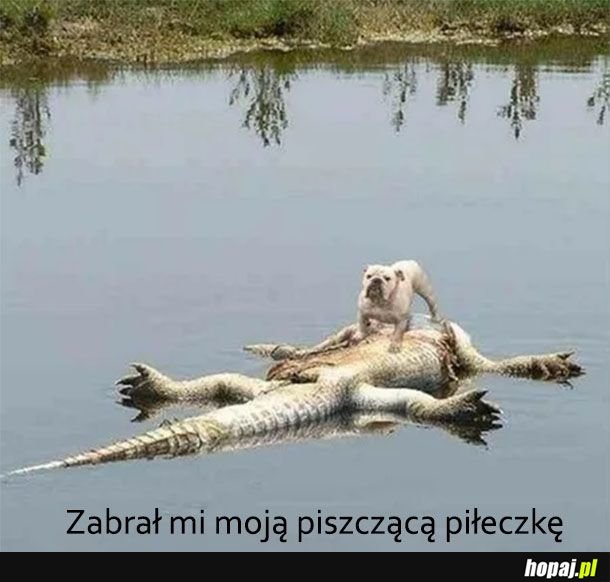 Jak mógł